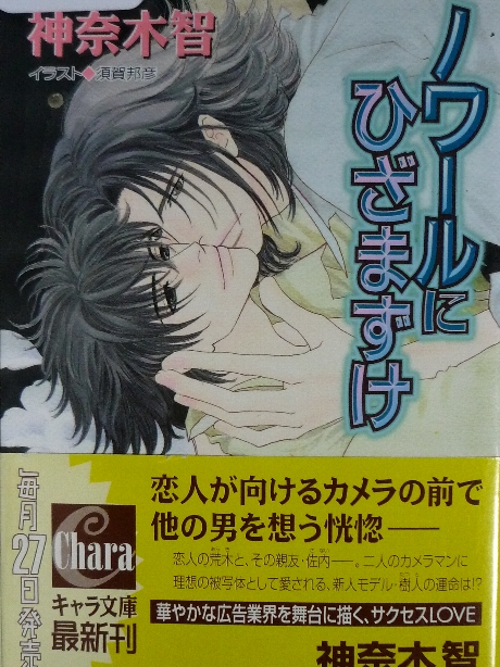 ノワールにひざまずけ　神奈木智(著)